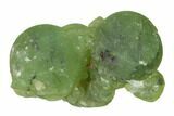 Botryoidal Prehnite with Epidote Inclusions - Mali #137316-1